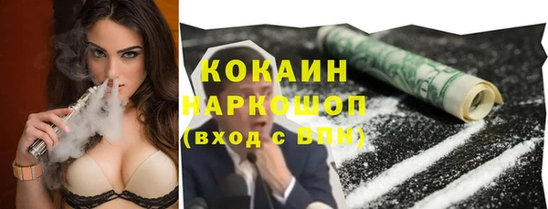 дживик Бронницы