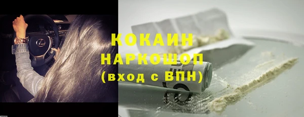 дживик Бронницы