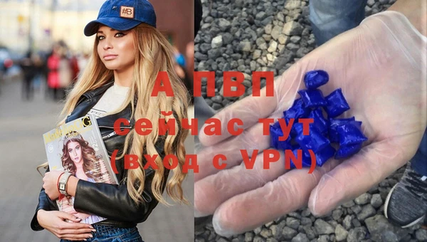 стаф Бугульма