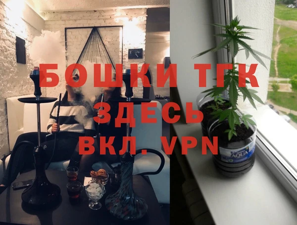 дживик Бронницы