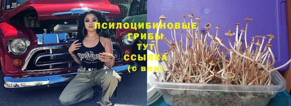 стаф Бугульма