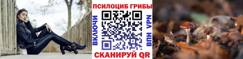 ссылка на мегу маркетплейс  Нарьян-Мар  Галлюциногенные грибы Psilocybe  где продают наркотики 